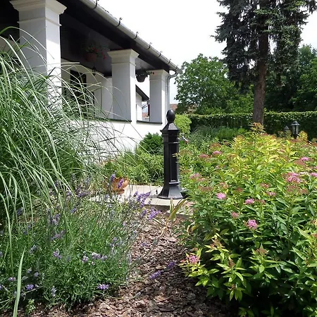 Szin-es Vendeghaz Szentes